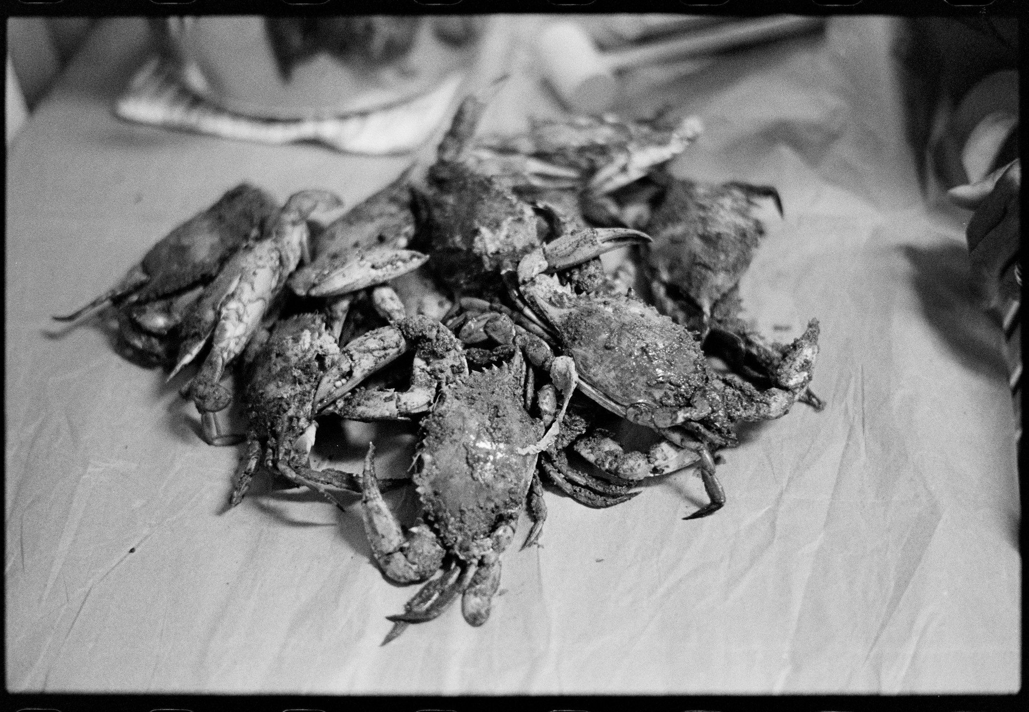 a pile of crabs